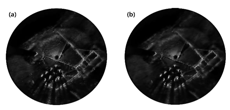 Fig. 3. Fig. 3.