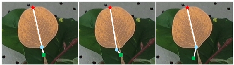 Fig. 5.