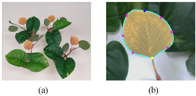 Fig. 7.
