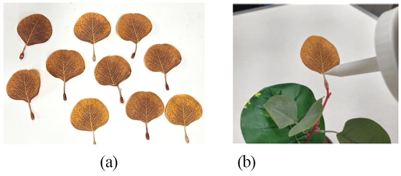 Fig. 8.