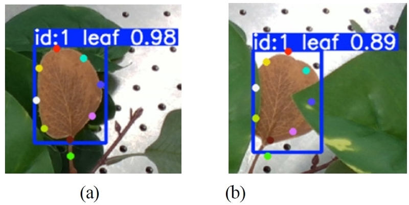 Fig. 10. 