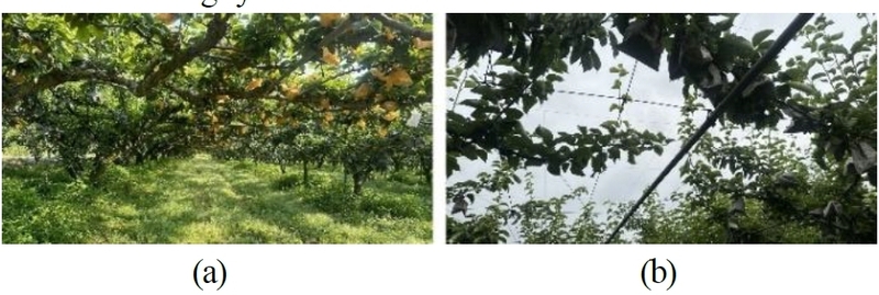 Fig. 8.